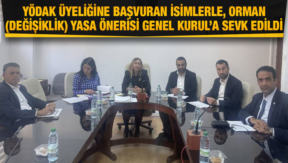 Hukuk, Siyasi İşler ve Dışilişkiler Komitesi toplandı