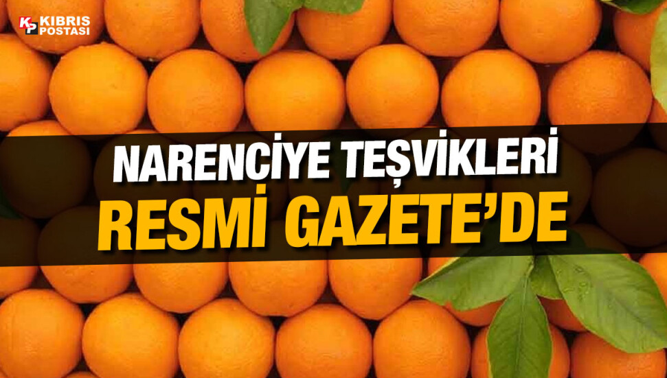 Narenciye İhracat Teşvik Destekleriyle ilgili düzenleme Resmi Gazete'de yayımlandı
