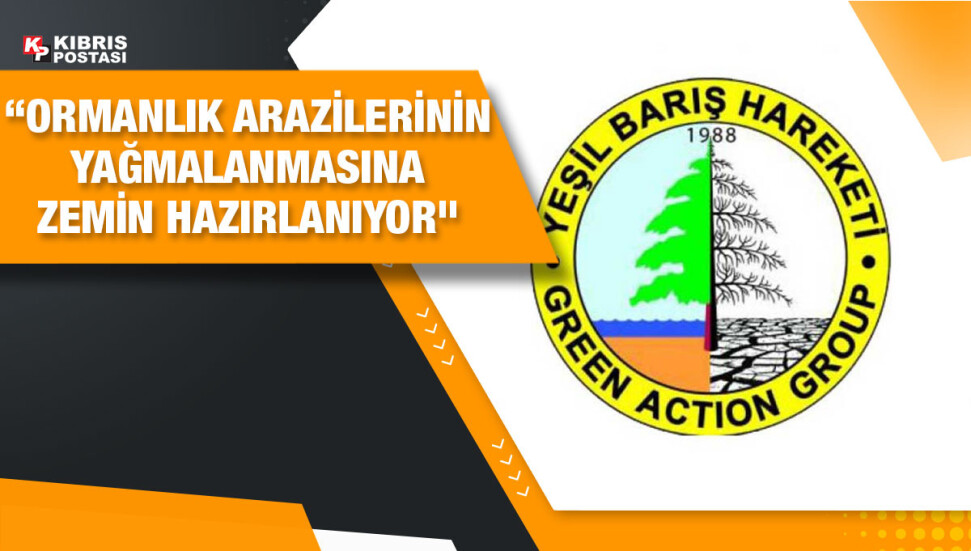 Yeşil Barış Hareketi: Bakanlar Kurulu ormanlarımızı her gün kullanılmak üzere birilerine vermek için kararlar üretiyor