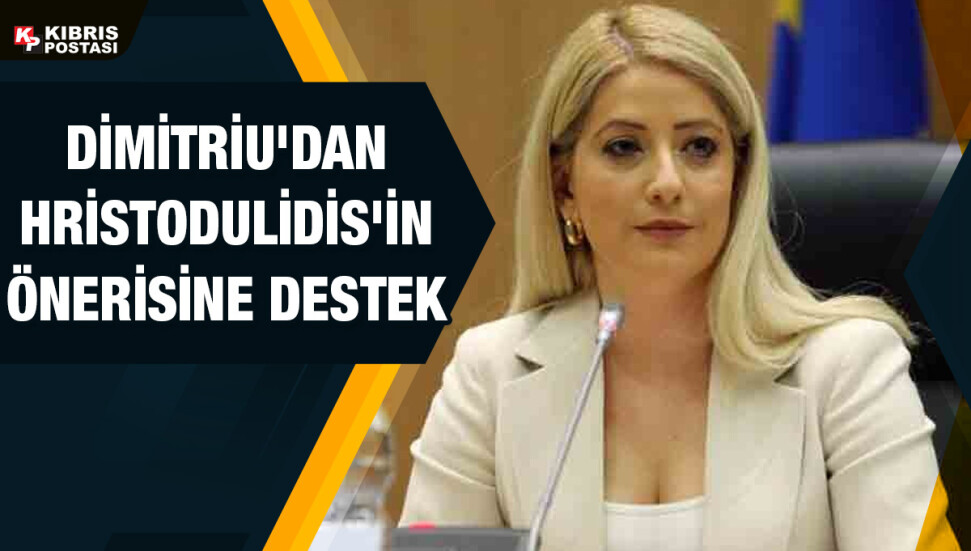 Annita Dimitriu, AB’nin Kıbrıs sorununa etkin bir şekilde müdahil olması önerisine destek verdi