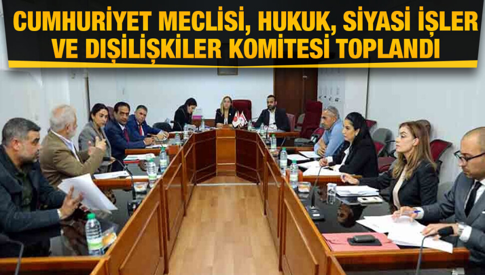 “Motorlu Araçlarla Yolcu ve Eşya Taşınması (Denetim) (Değişiklik) Yasa Tasarısı” görüşüldü