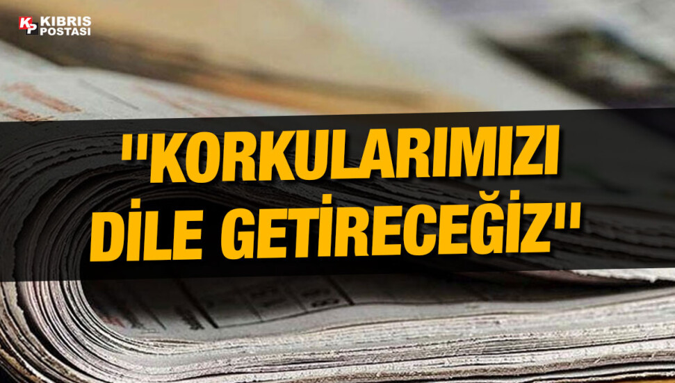 Kıbrıs Rum Meclisi Çevre Komitesi'nde Akkuyu tartışıldı