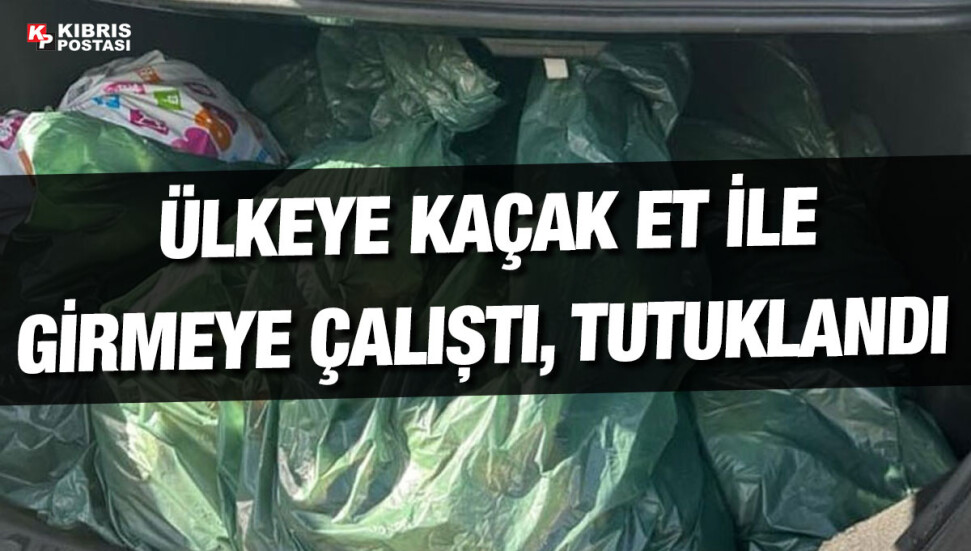 Ülkeye 190 kilogram kaçak et geçirmeye çalışan şahıs tutuklandı