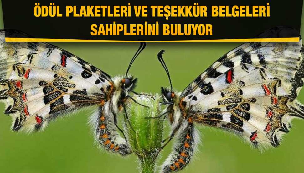 Devlet Fotoğraf Yarışması Sergisi ve Ödül Töreni Cuma günü yapılacak