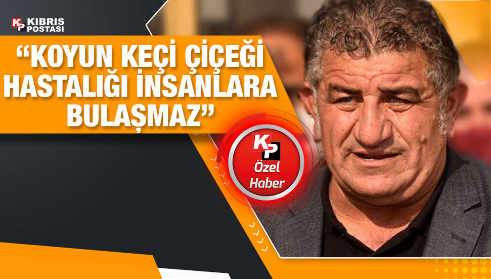 Mustafa Naimoğulları: Koyun keçi çiçeği hastalığına yakalanan hayvanlar imha ediliyor