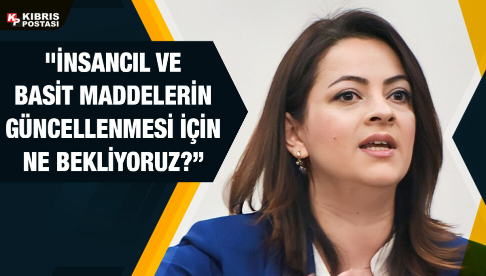 Mine Atlı, hükümet ve muhalefet vekillerinin 30 dakika bir inşaatta çalışmasını önerdi