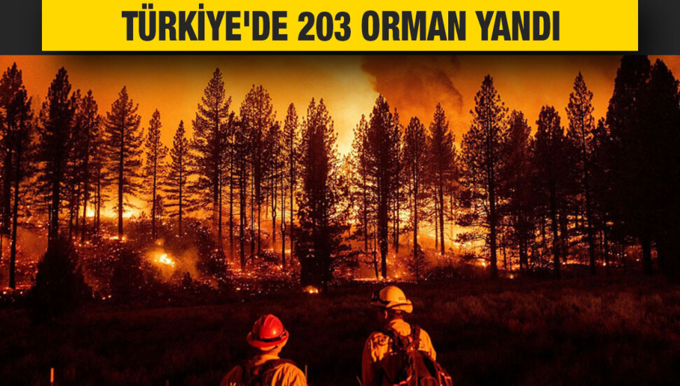Türkiye'de son 10 günde 203 orman yangını çıktı