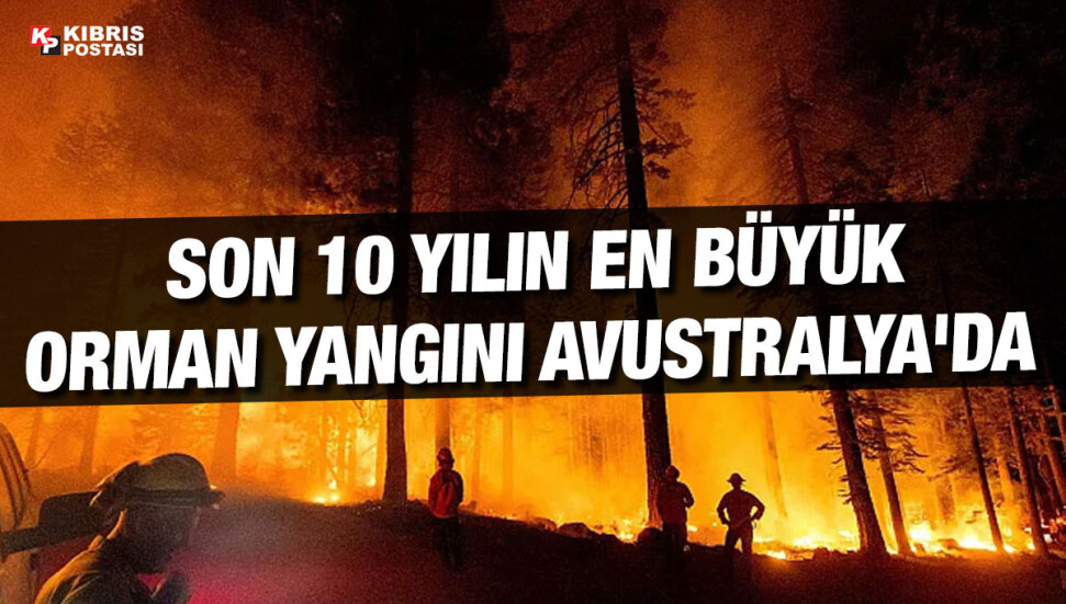Dünyada son 10 yılda yaklaşık 82 milyon hektar ormanlık alan yandı