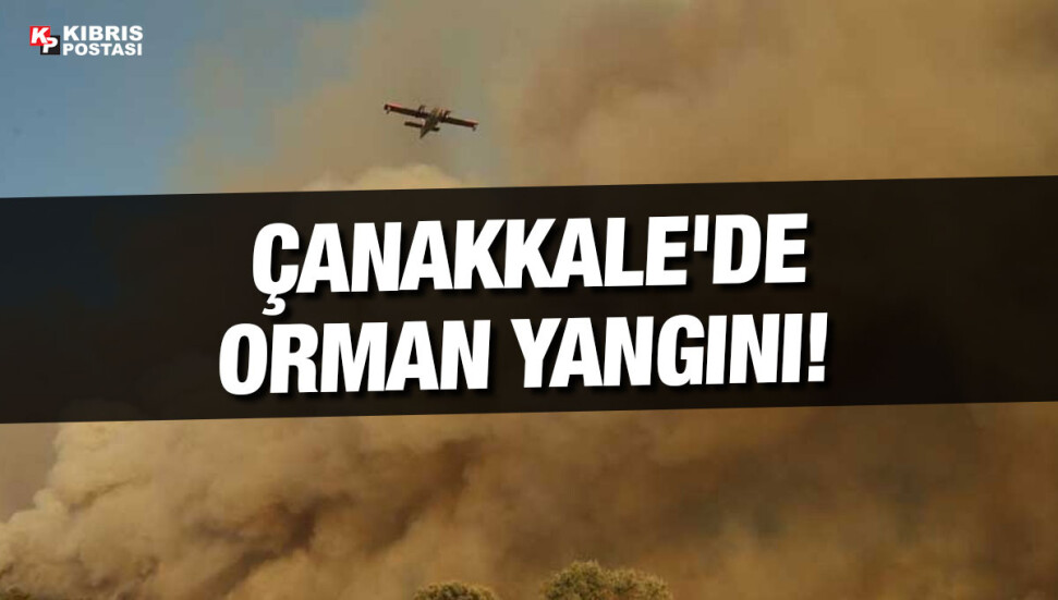 Çanakkale'de orman yangınına müdahale sürüyor: Evler hasar gördü, köyler boşaltıldı