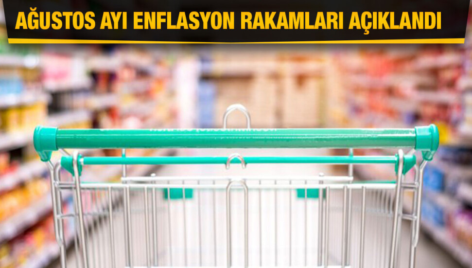 Ağustos ayı hayat pahalılığı yüzde 8,14… Zam şampiyonu yüzde 224 ile taze fasulye