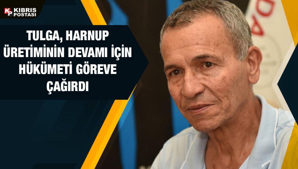 Hürrem Tulga: Hasadı yapılan harnup, farelerin besin kaynağı olmaya başladı