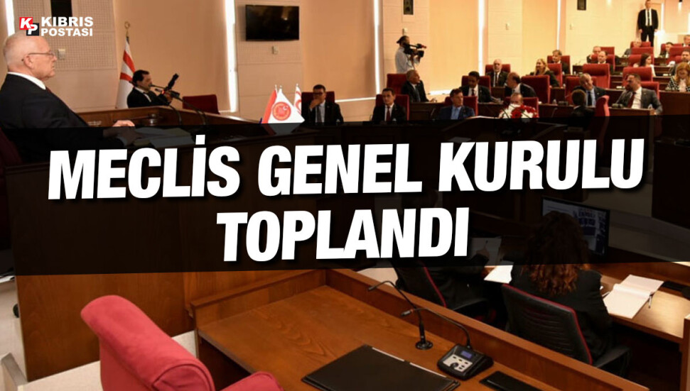 Meclis Genel Kurulu denetim işleviyle toplandı