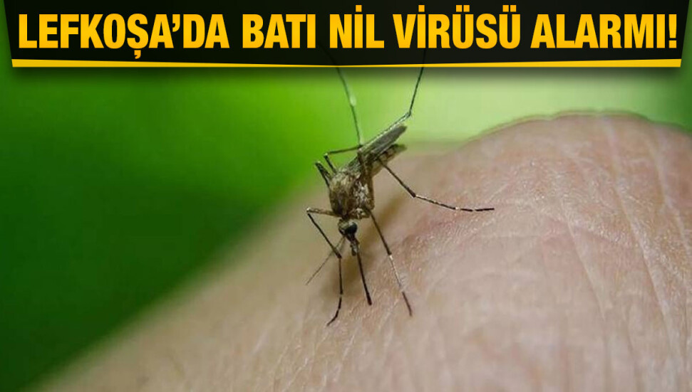 Lefkoşa’da Batı Nil Virüsü vakası tespit edildi