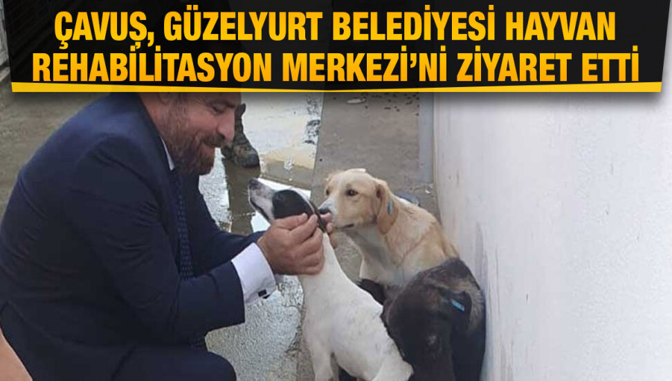 Bakan Hüseyin Çavuş: Tüm canlıların yaşam şartlarının iyileştirilmesi gerekiyor