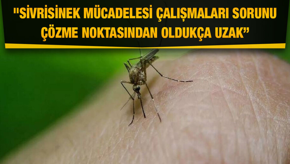 Biyologlar Derneği: Sağlık Bakanlığı, Batı Nil Virüsü’ne rağmen halk sağlığını hiçe sayıyor