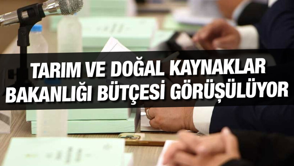 Komitede Tarım ve Doğal Kaynaklar Bakanlığı bütçesi görüşülüyor