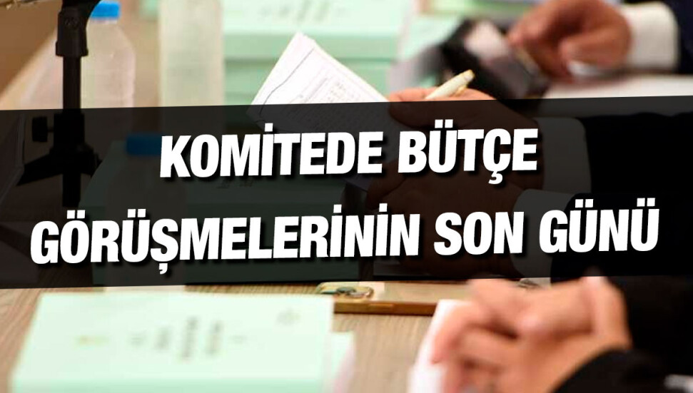 Ekonomi, Maliye, Bütçe ve Plan Komitesi’nde DAÜ bütçesi görüşülüyor