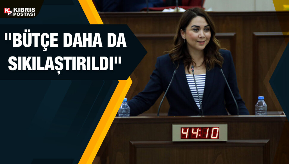 Ayşegül Baybars: Ülkenin kendi ayakları üzerinde durabileceği gelir artırıcı projeler üretilmeli