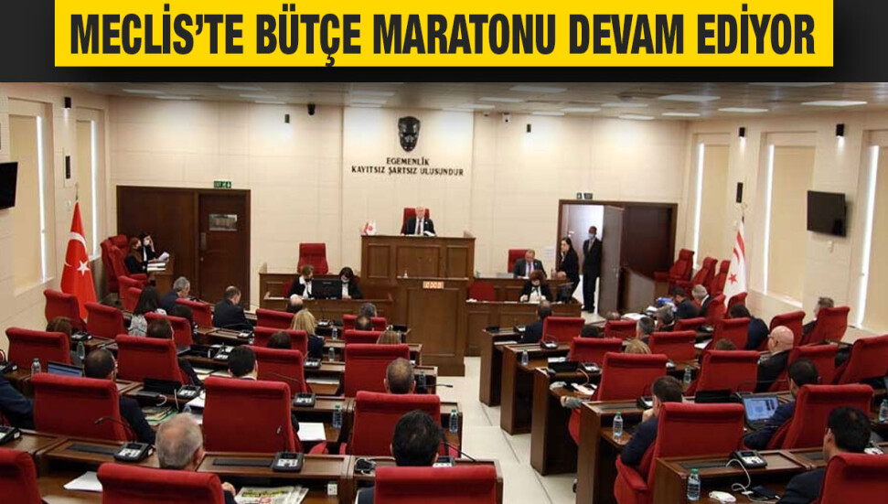 Cumhuriyet Meclisi’nde bütçe görüşmelerine bugün de devam ediliyor