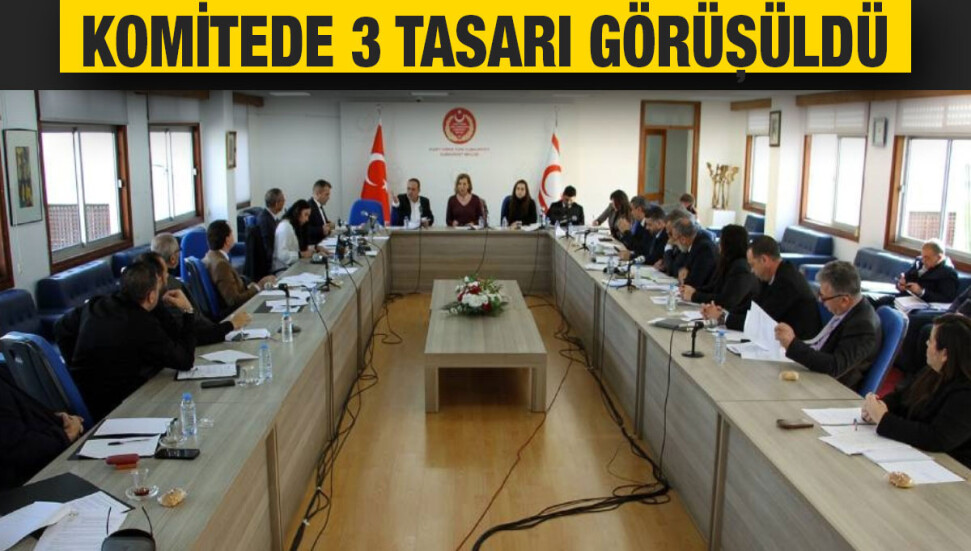 Ekonomi, Maliye, Bütçe ve Plan Komitesi üç tasarıyı görüştü