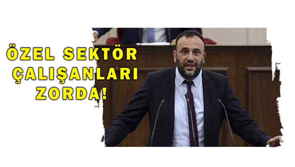 Zeki Çeler: "Maaş desteğiyle ilgili kurallara uymayan işverenler var"