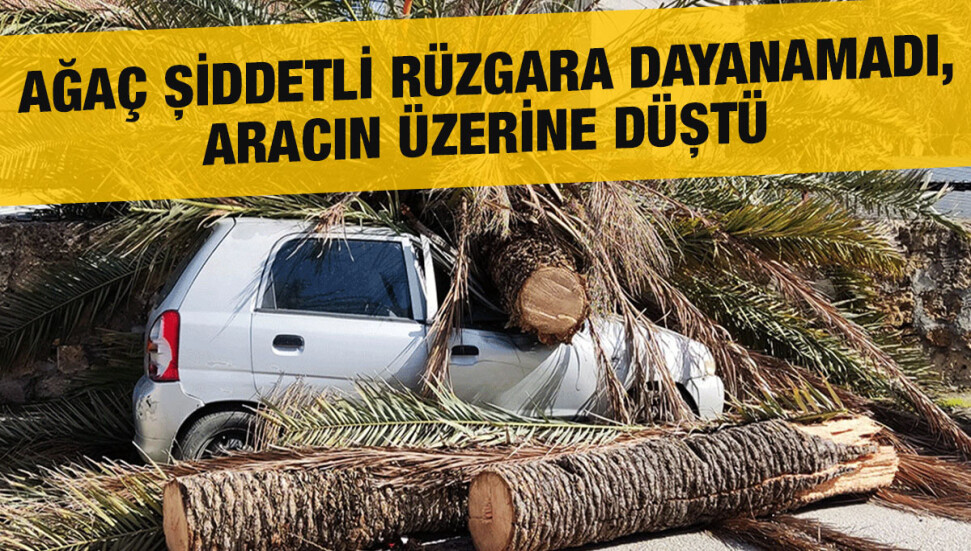 Şiddetli rüzgar, maddi hasara yol açtı