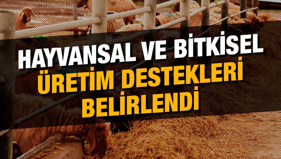 2022 yılı tarımsal destek miktar ve yöntemleri belirlendi