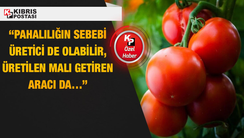 Tarkan Arpak: “Üretimden halka satışta en masum çark marketçiler”