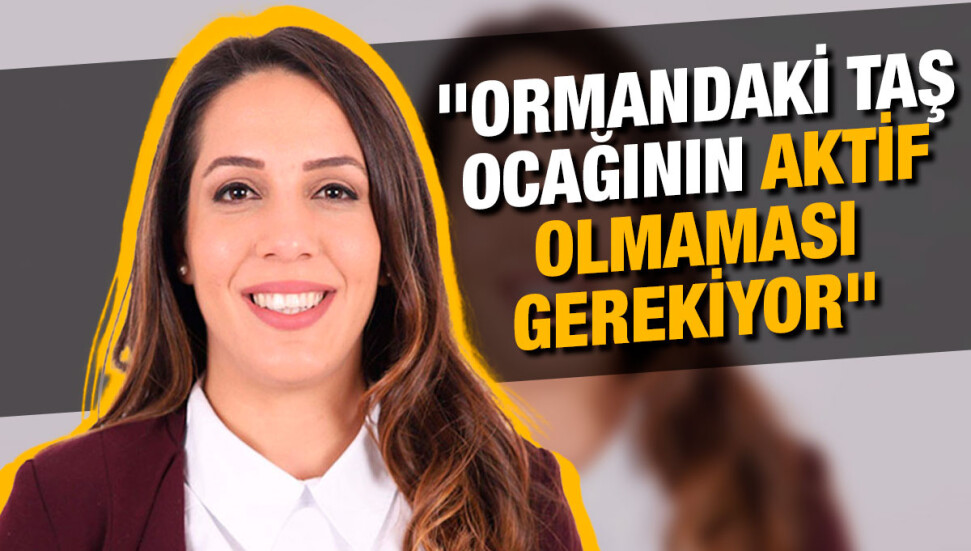 Feriha Tel: Ormandan gelen görüntülerde bir taş ocağı var