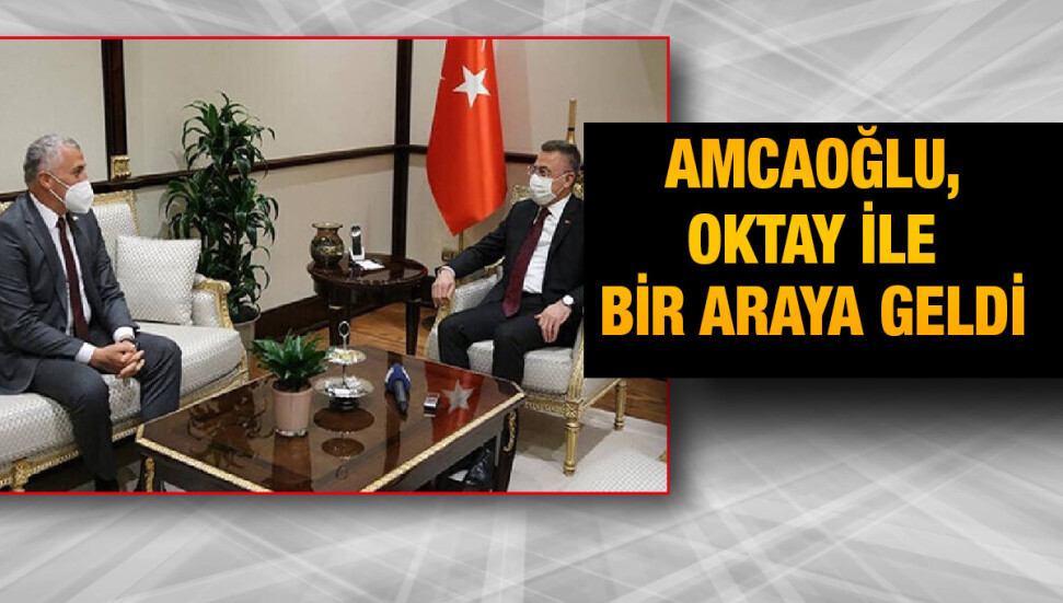 Olgun Amcaoğlu, Fuat Oktay tarafından kabul edildi