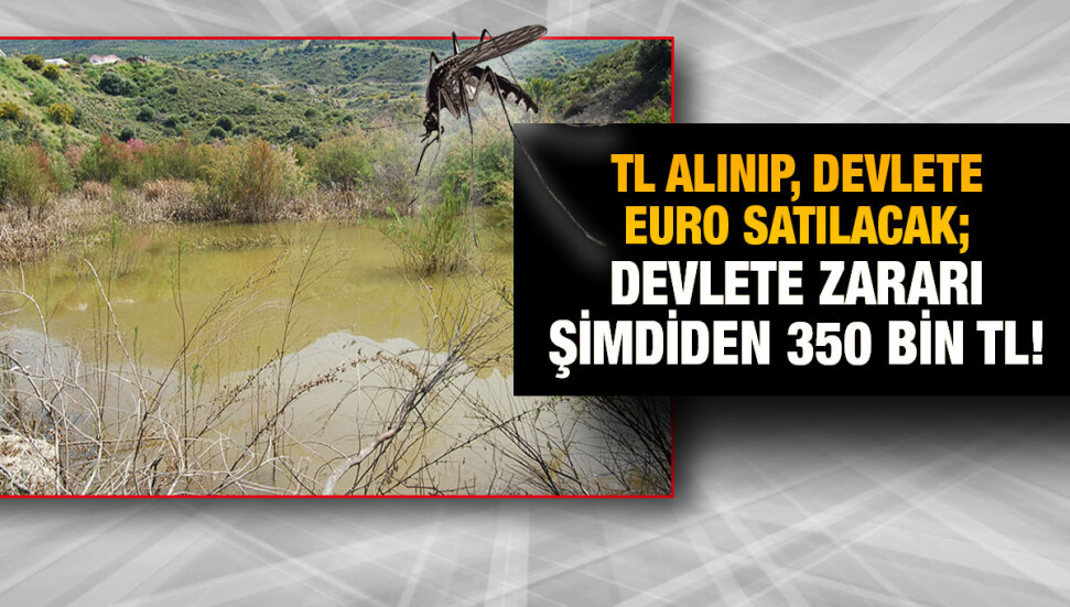Sivrisinek larva ilacı TL ile alınıp Euro ile satılacak… Devlet, şimdiden 350 bin TL zarar etti