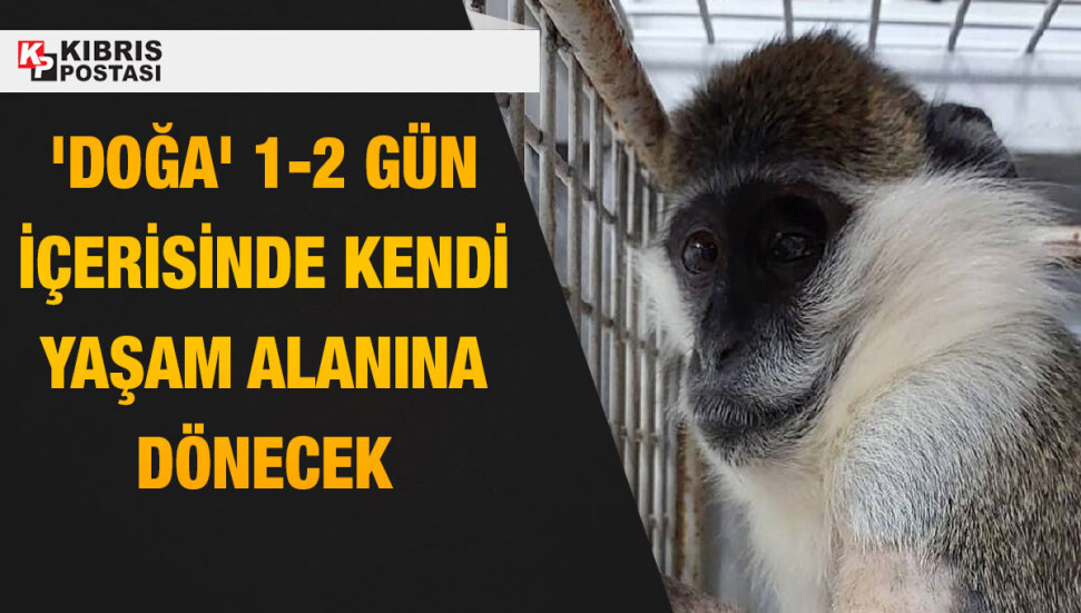 ‘Doğa’ tamamen iyileşti...