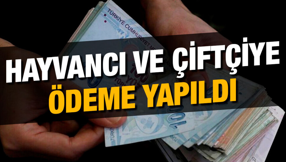 Tarım Bakanlığı, çiftçi ve hayvancıya yapılan ödemeleri duyurdu