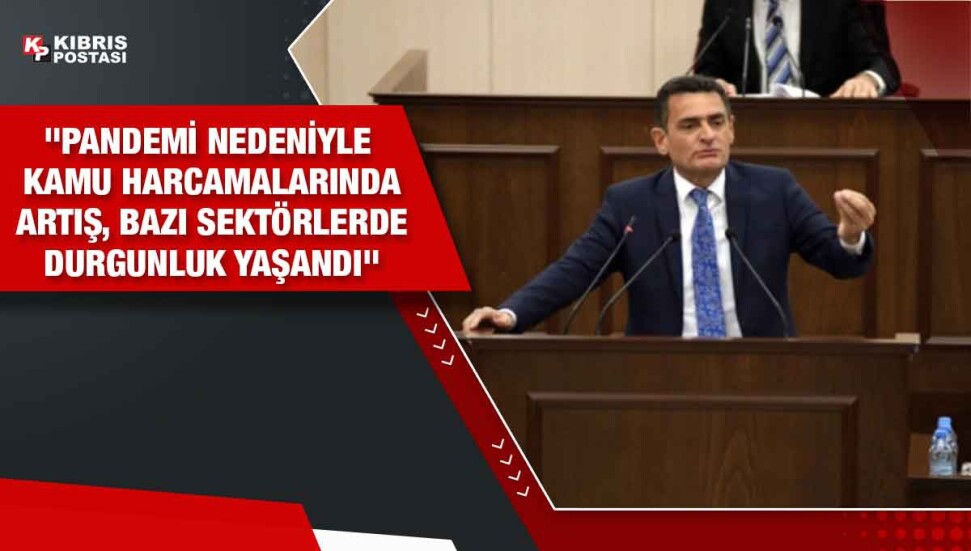 Dursun Oğuz: Bütçe pandemiye göre şekillendi