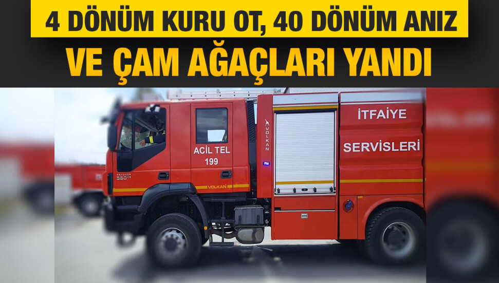 Alayköy'deki dere yatağında yangın çıktı