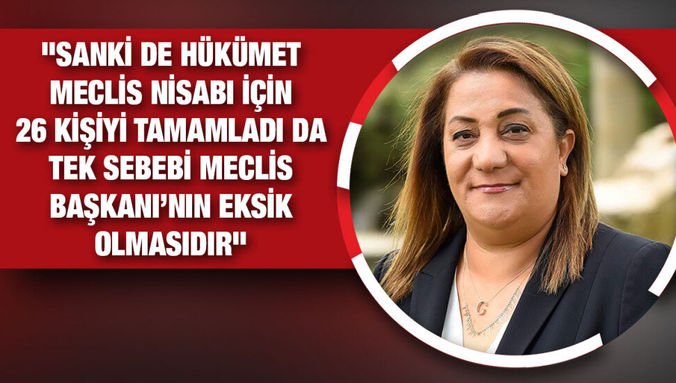 Manavoğlu: "Cumhurbaşkanı da gitmeyecek o zaman, oturacak oturduğu yerde"