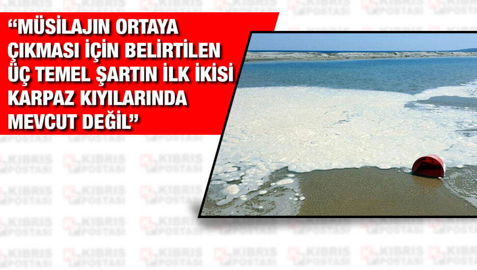 Biyologlar Derneği: "Karpaz'da görülen köpükler müsilaj değil”
