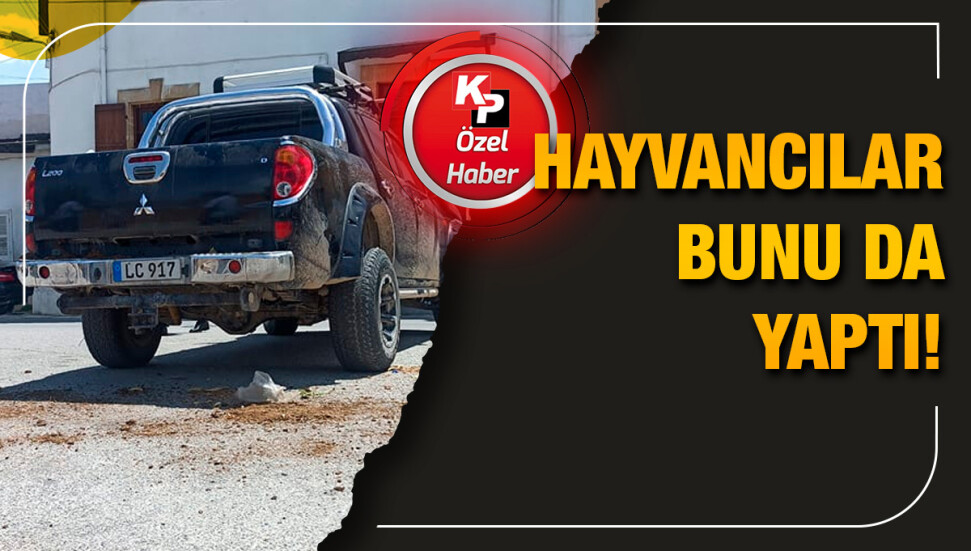 Eylemciler Cumhurbaşkanlığı önüne dışkı döktü: 4 kişi tutuklandı