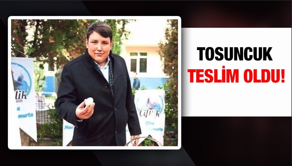 'Tosuncuk' lakaplı Mehmet Aydın teslim oldu