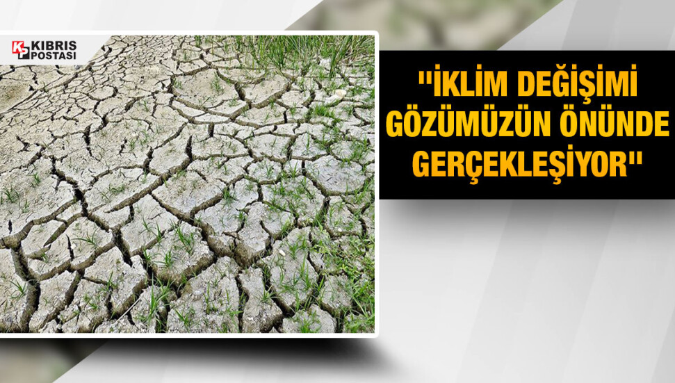 Rapor: Son 7 yıl insanlık tarihinin en sıcak dönemi
