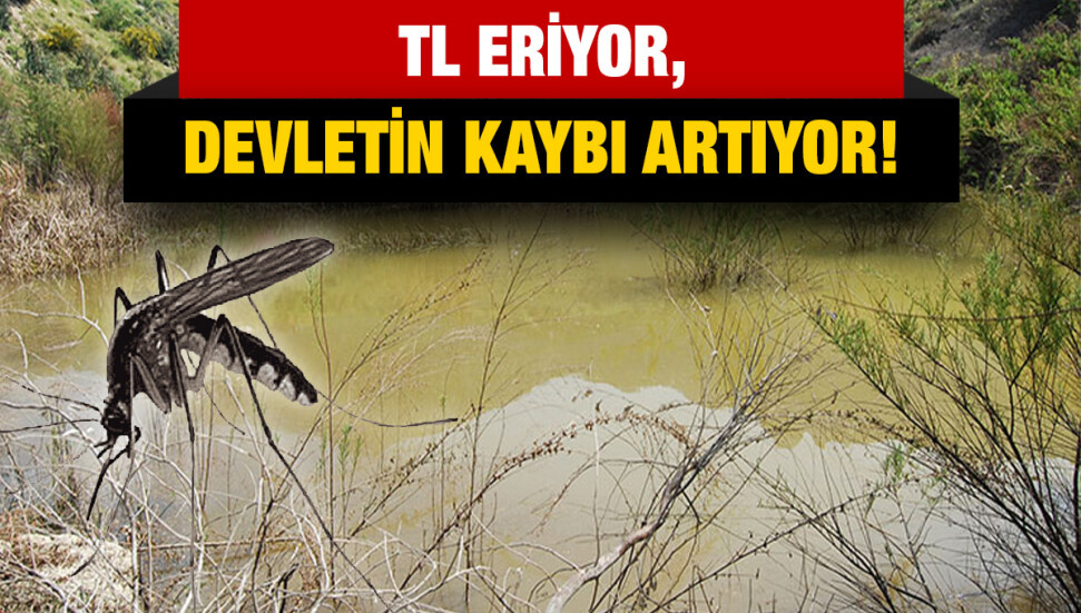 Sivrisinek larva ilacı ihalesinde tek firma… TL alıp devlete EURO satacak