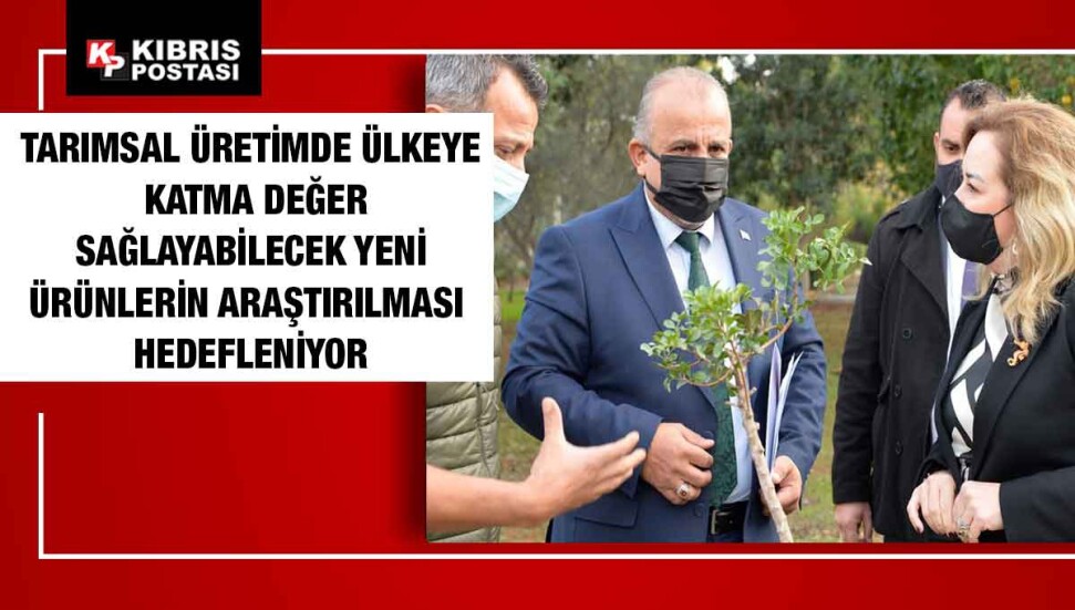 Cumhurbaşkanlığı bahçesine sakız ağacı fidanları dikildi