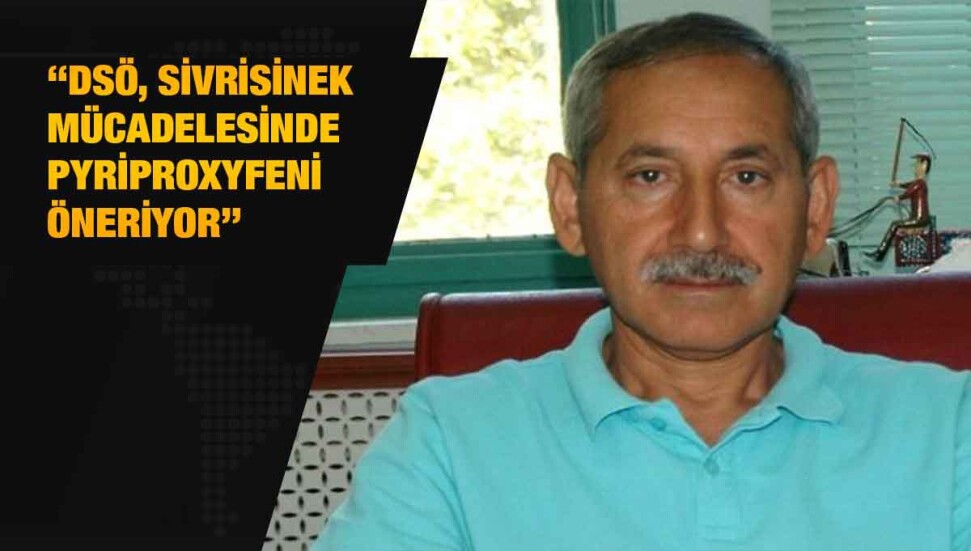 Davut Alptekin: Pyriproxyfen içeren ilaçlar da sivrisinekle mücadelede kullanılabilir