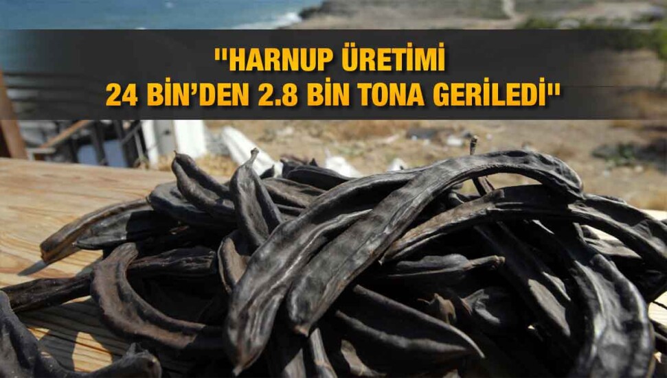 Cem Karaca: "Talep inanılmaz boyutta"