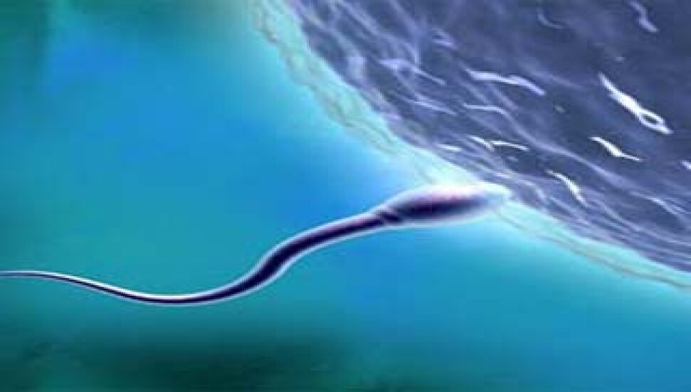 Türkiye'de sperm bağışı yapanlara 5 yıl hapis cezası uygulanacak