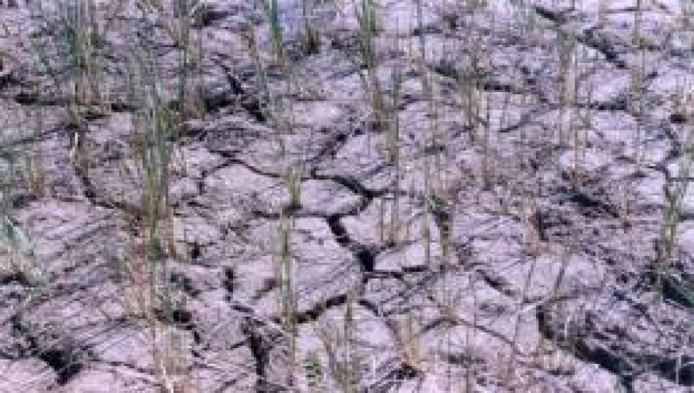 Greece Fears Water Shortages after Warmest Winter Ever
