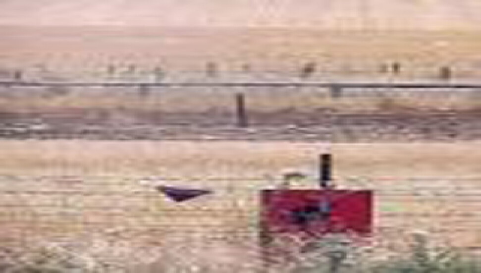 Sınırdaki mayınlar temizlenecek