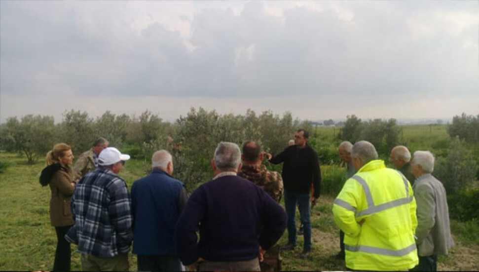 Tarım Dairesi eğitim çalışmalarına bu hafta Cihangir köyü ile devam etti