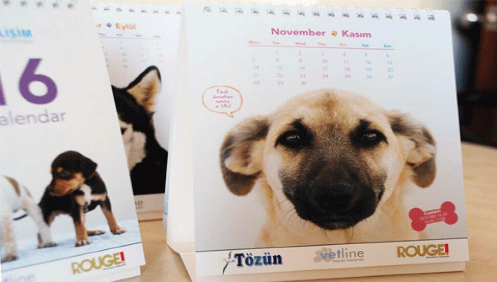 Geliri sokak hayvanlarına harcanacak olan takvimler Pazartesi satışta!