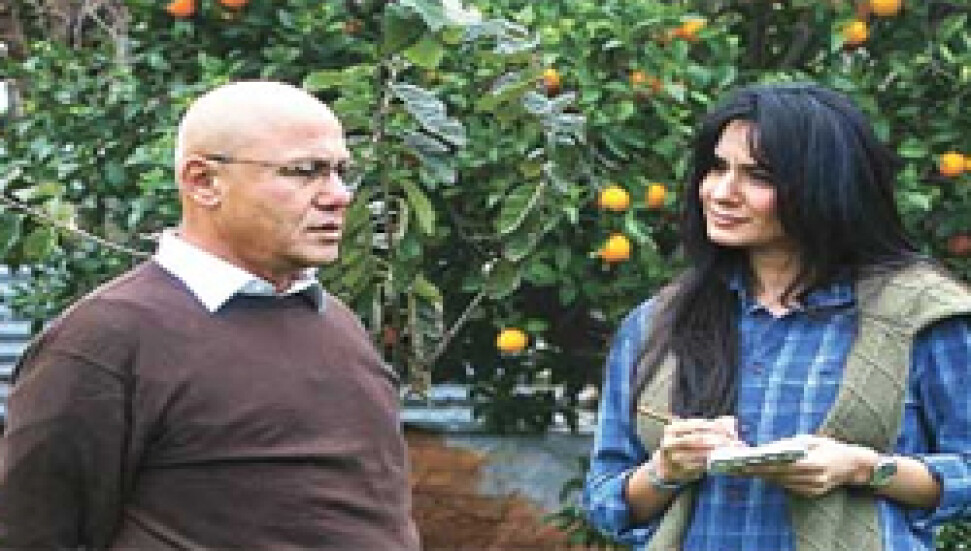 Talat "Kaybedersem Ak Parti politikası da kaybeder"